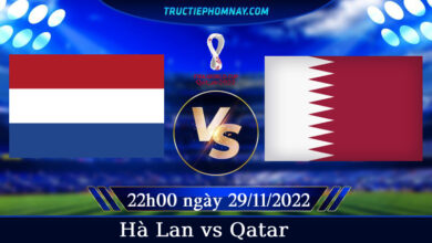 Hà Lan vs Qatar
