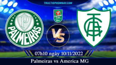 Palmeiras vs America MG