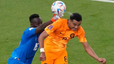 Gakpo đánh bại Mendy để ghi bàn thắng đầu tiên cho Hà Lan