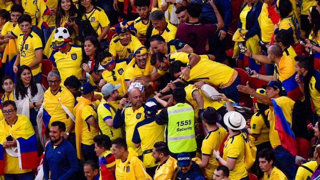 Người hâm mộ Ecuador ăn mừng trên khán đài trong chiến thắng World Cup của đội họ trước Qatar.