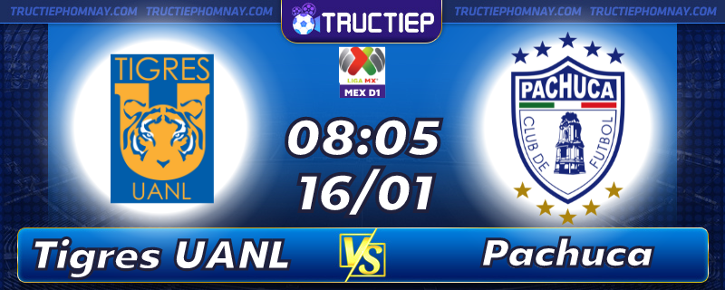 Lịch thi đấu Tigres UANL vs Pachuca 08h05 ngày 16/01
