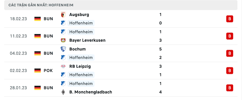 Phong độ thi đấu gần đây của đội chủ nhà Hoffenheim