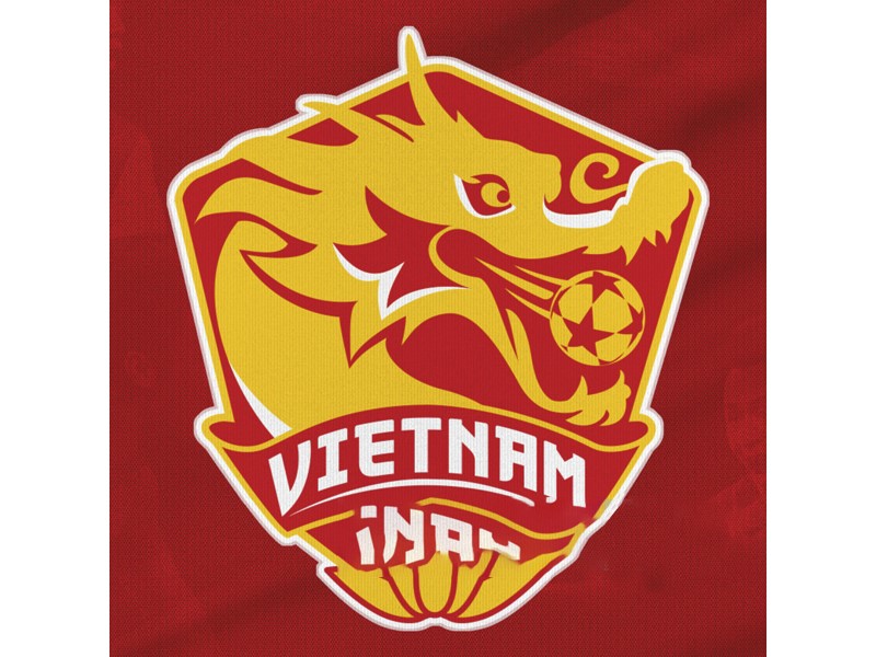 Logo đội tuyển bóng đá Việt Nam trong thời điểm này không được đánh gái cao
